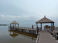-哈素海