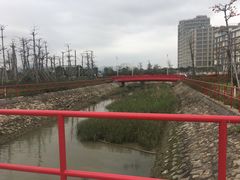 -芒洲湿地公园