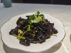 -洞庭家宴·头牌甲鱼(广渠门店)