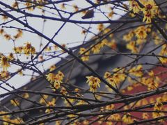 -钱王祠