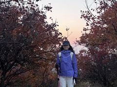 -太和山风景区