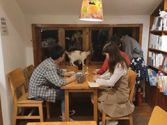 -猫的天空之城概念书店(苏州平江店)