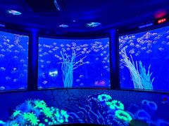 -沈阳海洋探索中心