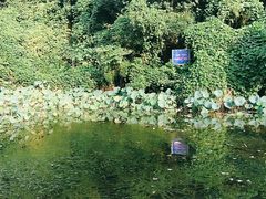 -杭州半山国家森林公园