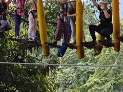 -清迈丛林飞跃 JungleFlight