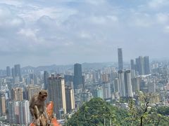 -黔灵山公园