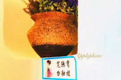 -娇玫荟SPA