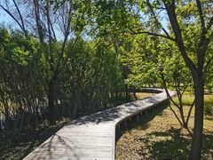 -东郊湿地公园