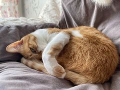 -新荟城(望京店)