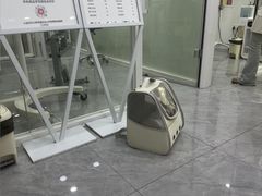 -爱洗澡的猫(天河路店)