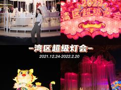 -欢乐海岸椰林沙滩-2025湾区超级灯会
