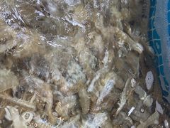 -蓝珊甄选海鲜自助·火锅大排档(近阿那亚店)