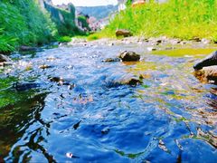 -水墨汀溪风景区
