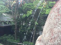 -新加坡水上探险乐园