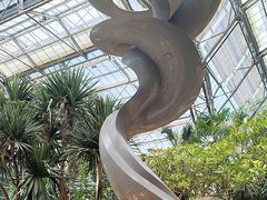 -南山植物园