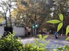 -夏朵餐厅(丁香店)