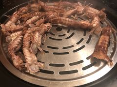 -日进一片海.生腌海鲜火锅.宵夜烧烤(三里屯总店)