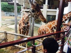 -清迈夜间动物园