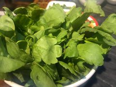 -南门四季铜锅涮肉(左家庄店)
