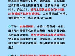 -徐妹串串香(春熙路店)