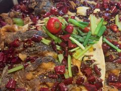 -老板恋上鱼(恒隆广场店)