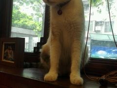 -看书吧(体育东横路店)