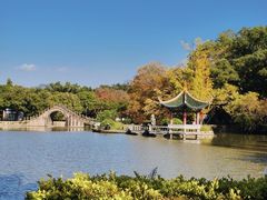 -江心屿景区