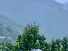 -九峰山
