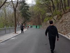 -沂蒙山旅游区云蒙景区(蒙山国家森林公园)