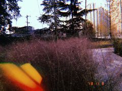 -张之洞与武汉博物馆