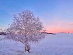 -塞罕坝国家级自然保护区