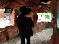-上海大自然野生昆虫馆(东方明珠·爬宠昆虫探索中心)