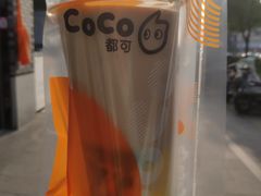 -CoCo都可(骆家庄新店)