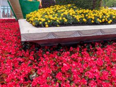 -上海市龙华烈士陵园