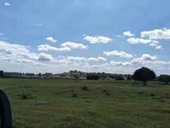 -御道口草原森林风景区