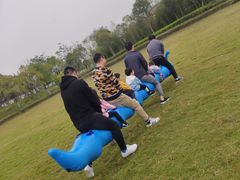 -杭州湾海上花田景区