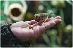 -Zoolung Zoolung动物主题公园(海信广场店)