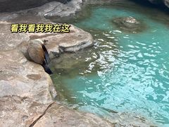 -郑州海洋馆