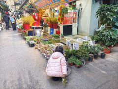 -循礼门鲜花花市(武汉循礼门店)