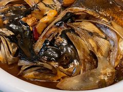 招牌鱼头泡饼-九妙坊(牡丹园店)