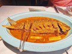 红烧黄河鲤鱼-阿五黄河大鲤鱼(纬三路店)