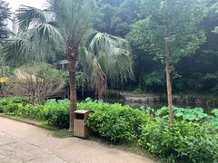 -天怡·鱼工厂(梅溪湖店)