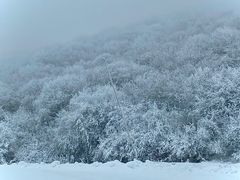 -太子岭滑雪场