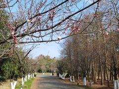-上海海湾国家森林公园