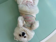 -怪兽屋·羊驼·猫咖·狗咖(俊华广场店)