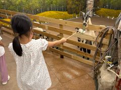 -正佳雨林生态植物园