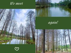 -佛冈森波拉度假区