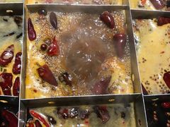 -白乐天毛肚火锅馆(南滨路店)