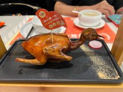 -羽鸽集·乳鸽专门店·地道顺德菜(岭南站店)