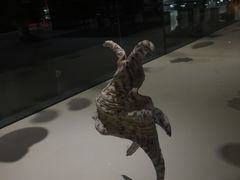 -青岛贝壳博物馆